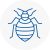 Bed Bug Extermination In Catford
