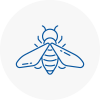 Bee Nest Removal Catford