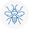 Catford Hornet Nest Removals