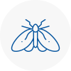 Moth Control Specialists In Catford