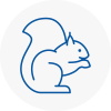 Catford Rodent Removals